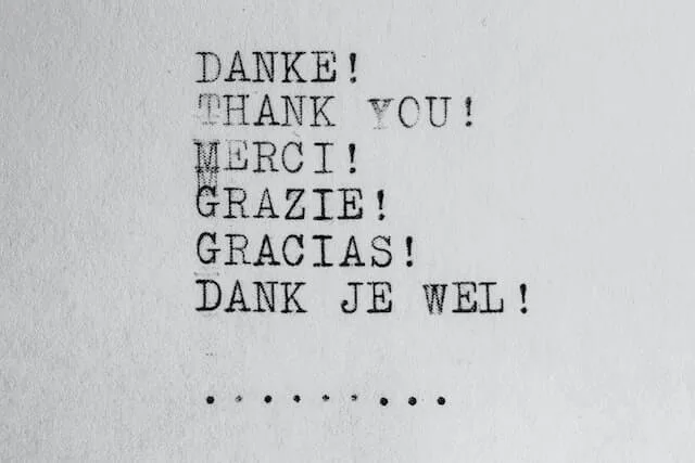 wilhelm-gunkel-L04Kczg_Jvs-unsplash